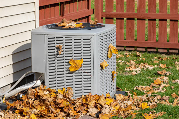Trusted Wacousta, MI HVAC Experts