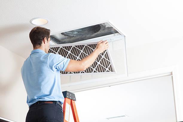 Best HVAC Supply and Distribution in Wacousta, MI